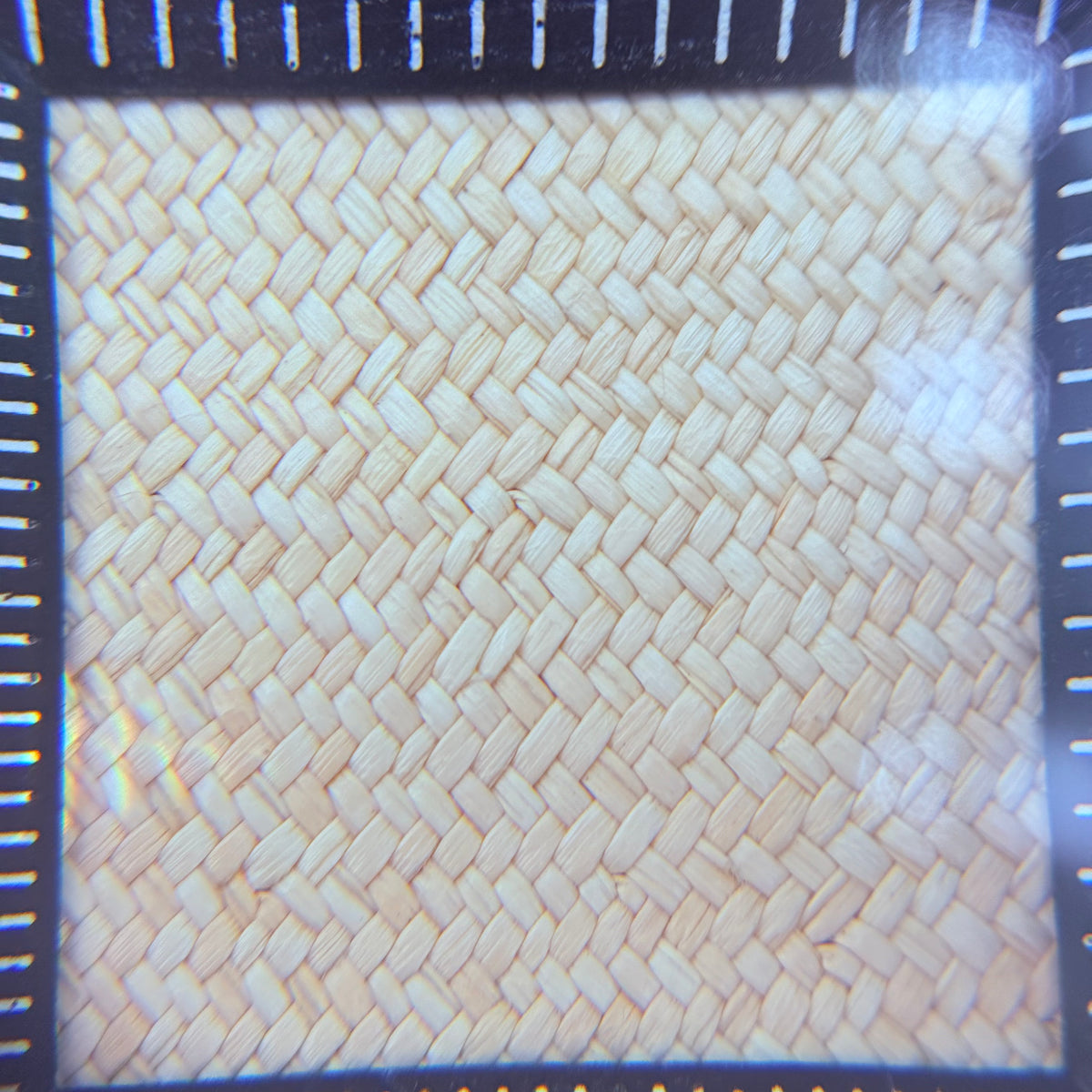 Panama Hat — Beige Wide Brim, Open Weave